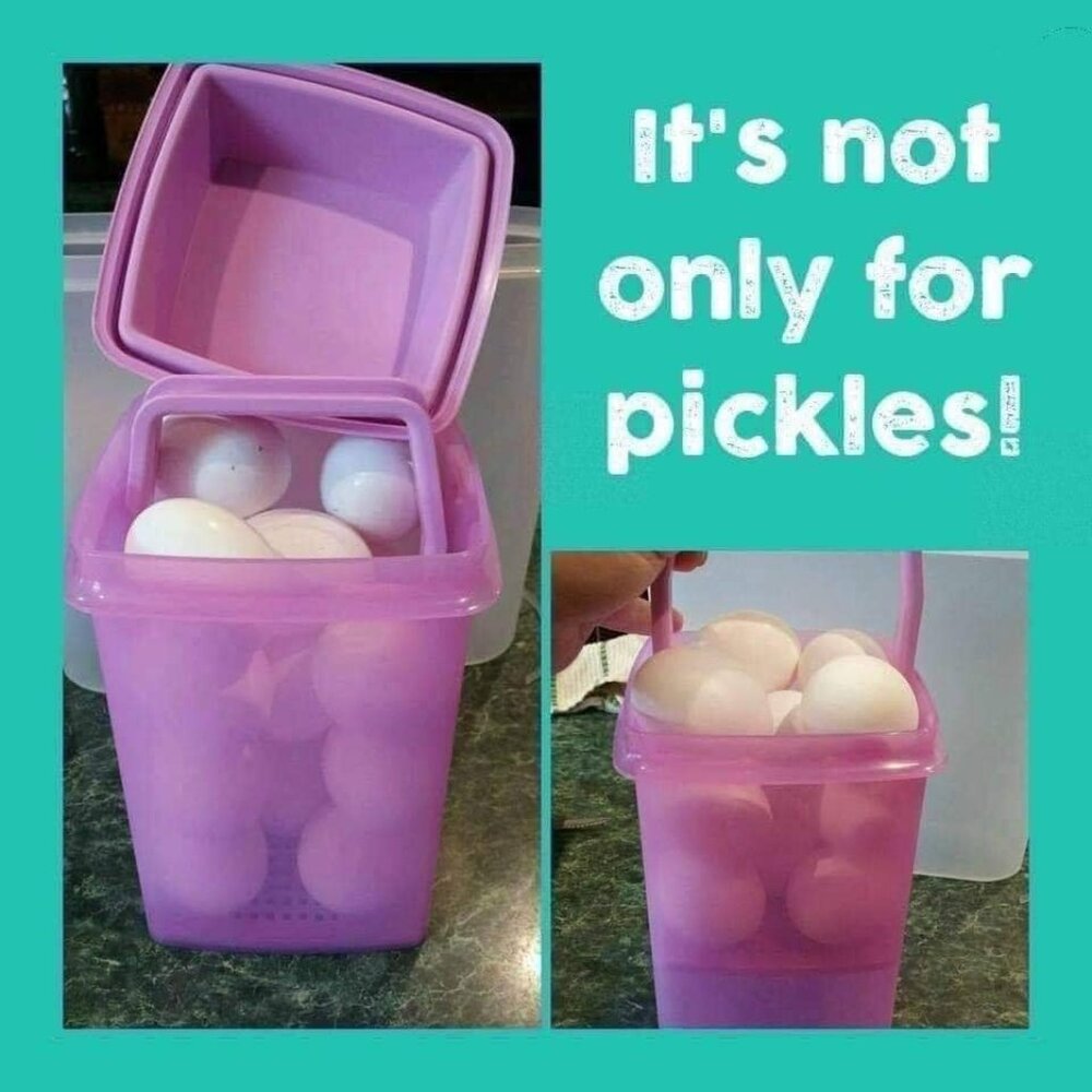 NIP Tupperware Pick a Deli - Picture 2 of 3